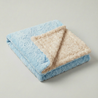 Paisley Embossed Blue & Ivory Rosebud